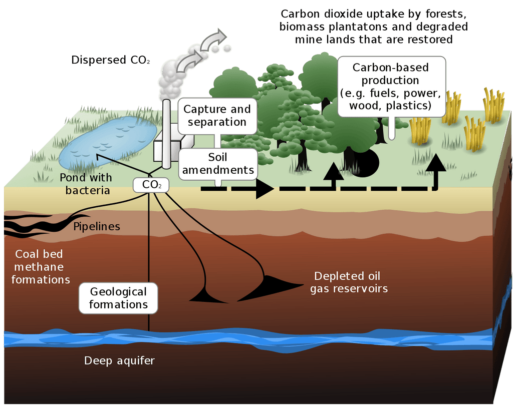 What Is ... Carbon Sequestration? | Alabama Sawyer