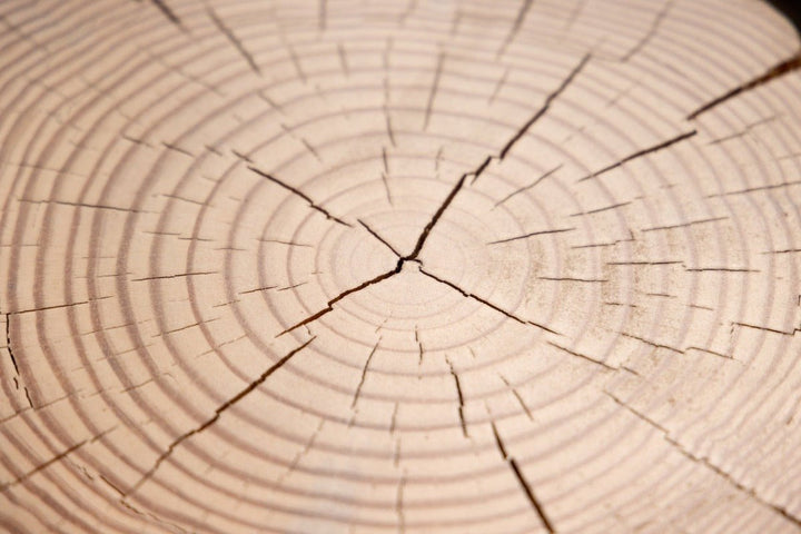 Hyo Table Natural | Pine Wood Cube Side Table - Alabama Sawyer