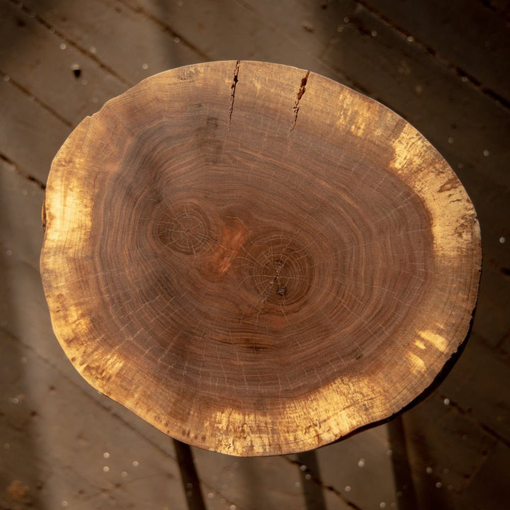 Live Edge Round Side Table | Fossil Table - Alabama Sawyer