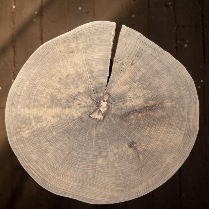 Live Edge Round Side Table | Fossil Table - Alabama Sawyer