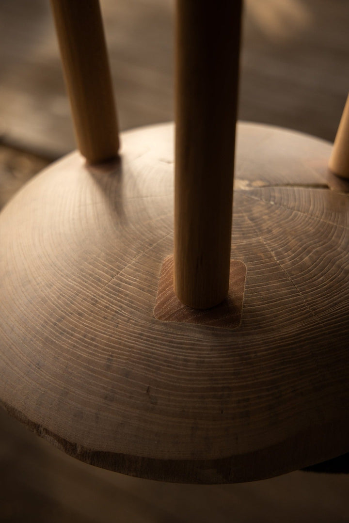 Live Edge Round Side Table | Fossil Table - Alabama Sawyer