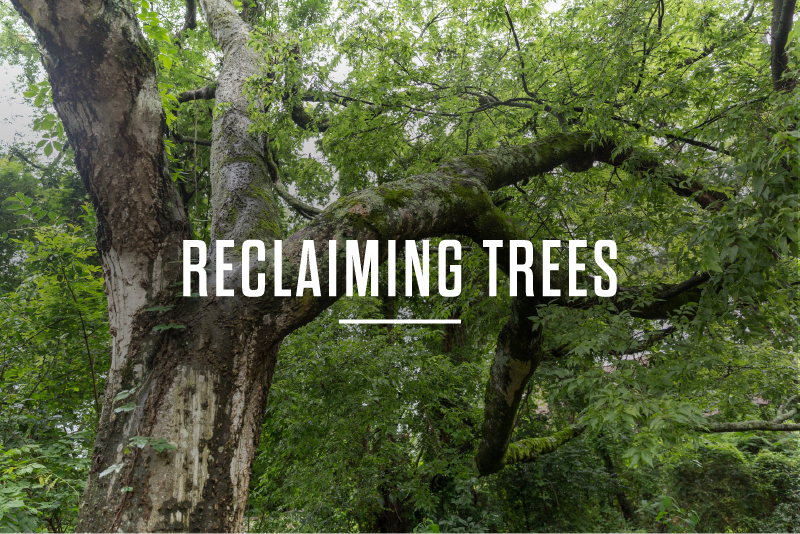 4 Sustainable Interior Design Materials Worth Knowing