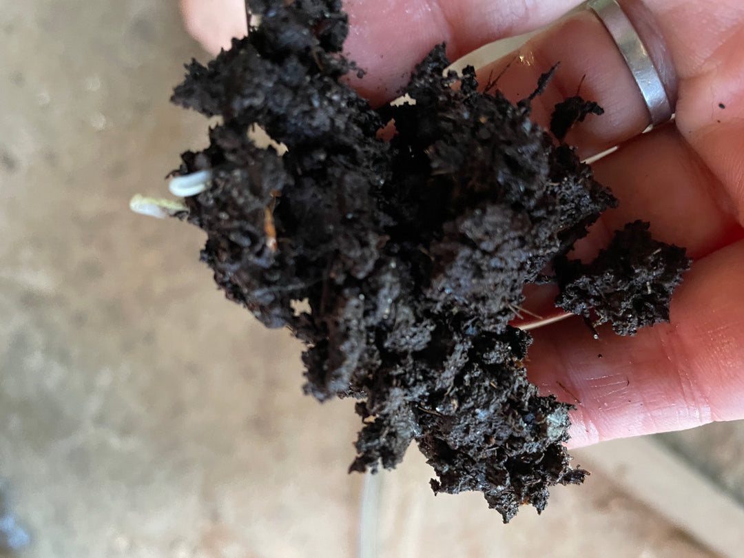 Alabama Sawyer partners with Field Culture Compost - Alabama Sawyer