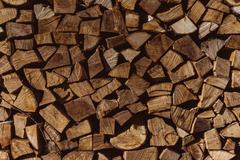 Wood vs Timber vs Lumber | Alabama Sawyer