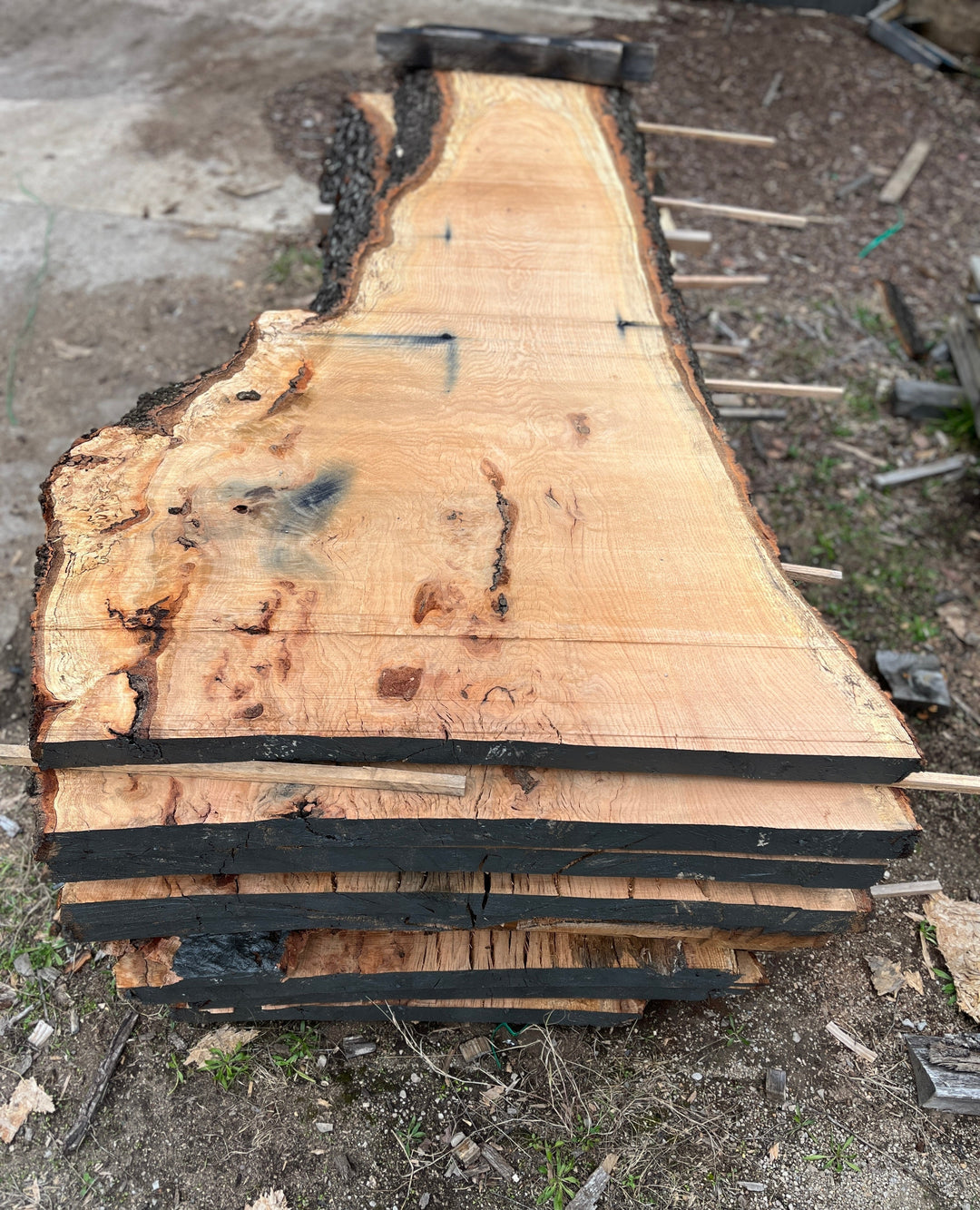 How Alabama Sawyer Turns Birmingham’s Fallen Trees into Custom Furniture