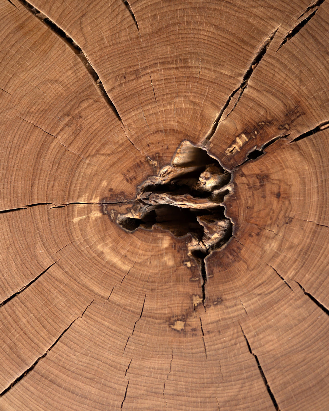 Beech Solid Wood Cube Side Table Hyo close up