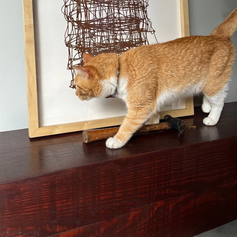 cat on wooden bedroom bench